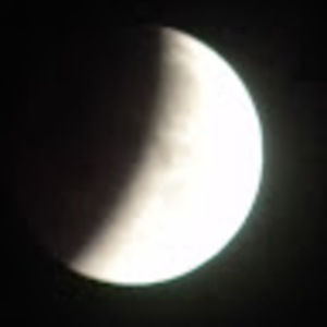 Meet your Posher, Patty